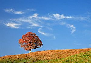 Herbstwochenende: überraschend viele Möglichkeiten!